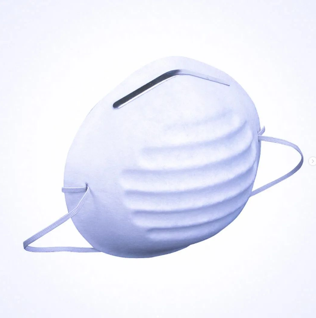 Disposable Dust Masks