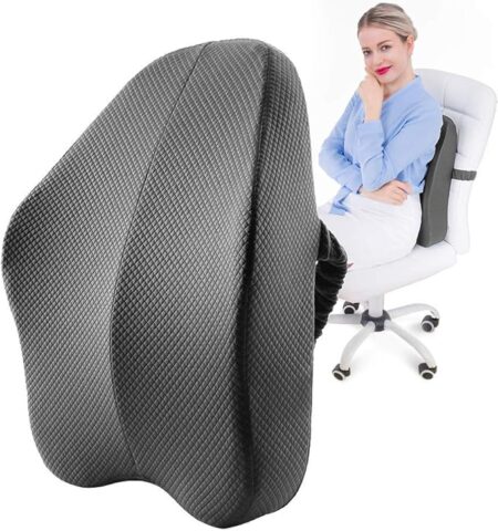 Ergonomic Memory Foam Back Rest Cushion