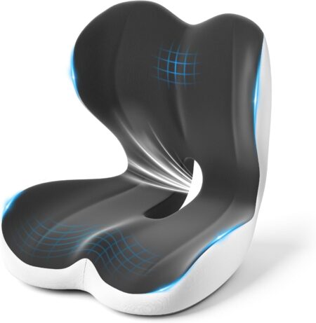 Integrated Lumbar and Seat Cushion